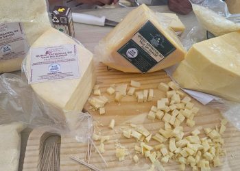 Queijarias do Leste e Nordeste do estado participam de festival que reúne produtores de 14 regiões em BH